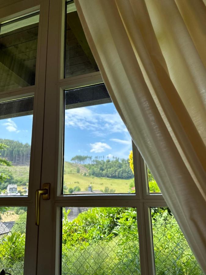 Urlaubsschmiede Winterberg Διαμέρισμα Εξωτερικό φωτογραφία