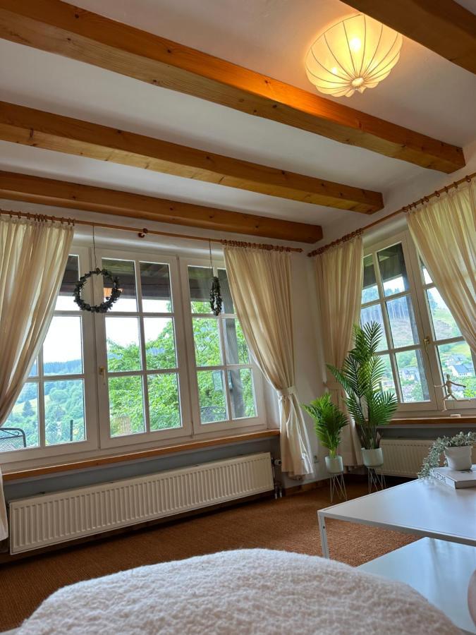 Urlaubsschmiede Winterberg Διαμέρισμα Εξωτερικό φωτογραφία